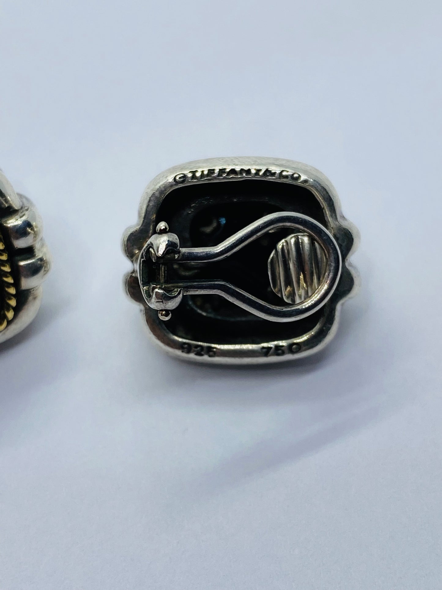 Tiffany & Co Silver Gold Rope Onyx Square Earrings Studs Pierced